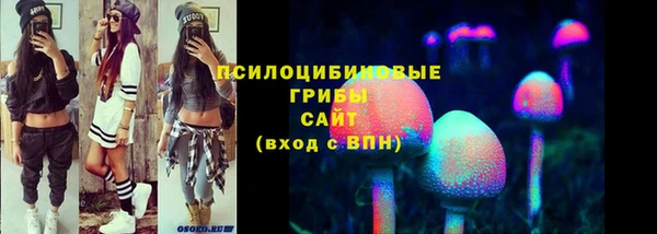 шишки Абдулино