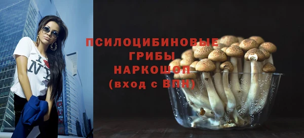 PSILOCYBIN Няндома