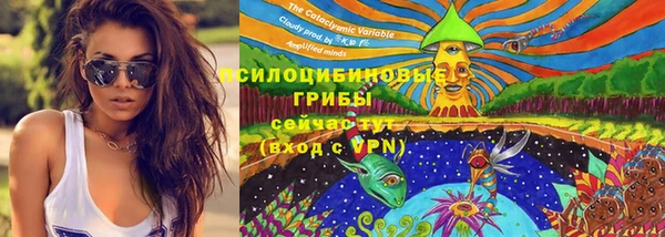хмурый Нягань