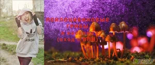шишки Абдулино